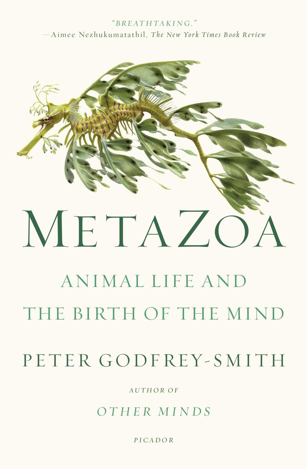 Cover: 9781250800268 | Metazoa | Animal Life and the Birth of the Mind | Peter Godfrey-Smith