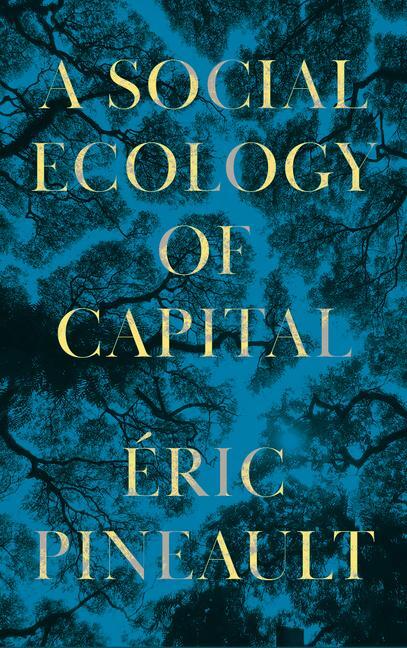 Cover: 9780745343778 | A Social Ecology of Capital | Eric Pineault | Taschenbuch | Englisch