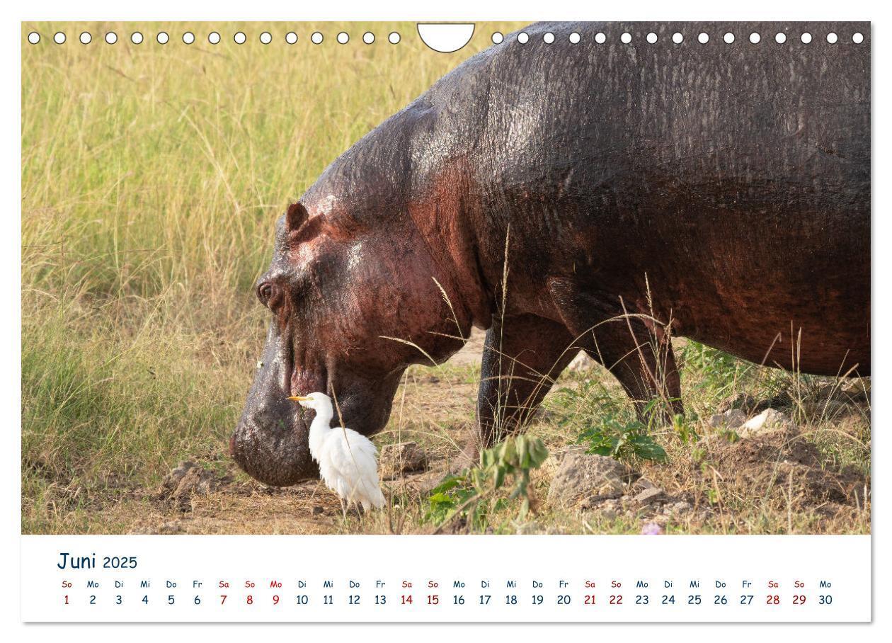 Bild: 9783435002610 | Fernweh Uganda - Naturschönheit Ostafrikas (Wandkalender 2025 DIN...