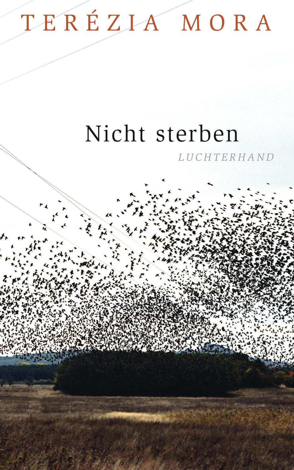 Cover: 9783630874517 | Nicht sterben | Terézia Mora | Buch | Deutsch | 2015 | Luchterhand