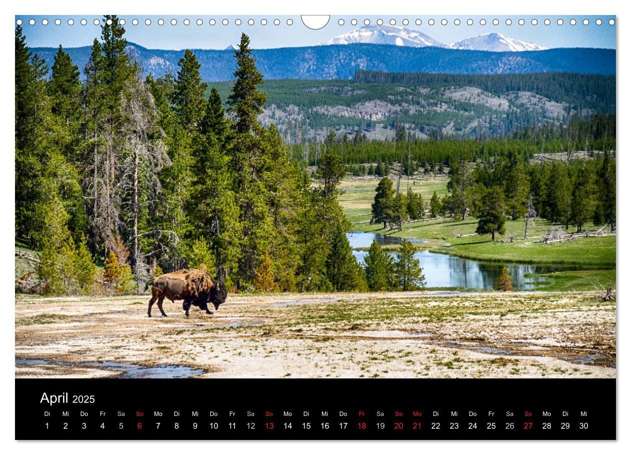 Bild: 9783435664078 | Traumziele in den USA. Der Yellowstone National Park (Wandkalender...