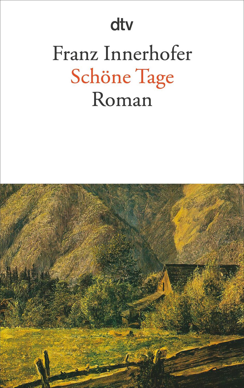 Cover: 9783423117395 | Schöne Tage | Franz Innerhofer | Taschenbuch | Deutsch | 1993