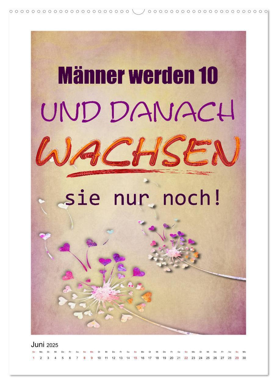 Bild: 9783435947768 | Humor und Ironie. Lustige Sprüche (Wandkalender 2025 DIN A2 hoch),...