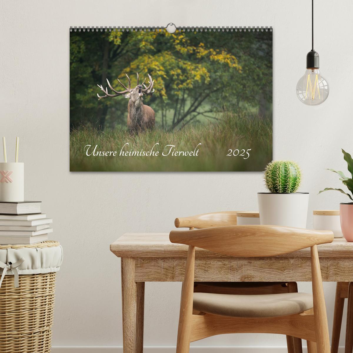 Bild: 9783435311996 | Unsere heimische Tierwelt (Wandkalender 2025 DIN A3 quer), CALVENDO...