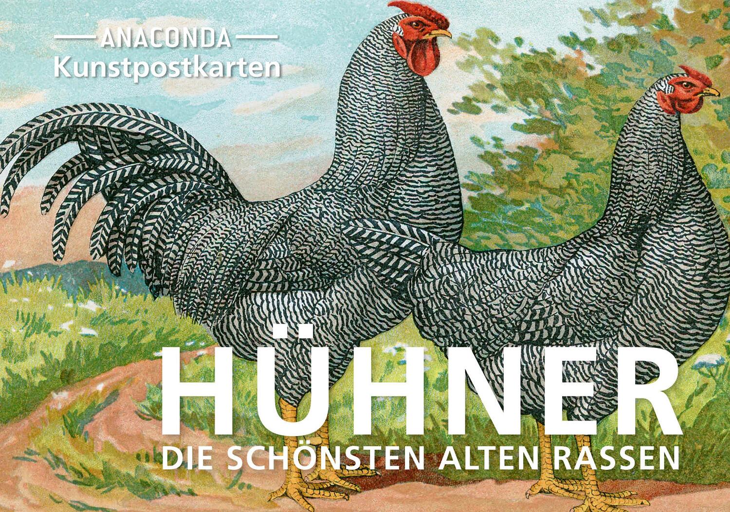 Cover: 9783730613917 | Postkarten-Set Hühner | Anaconda Verlag | Taschenbuch | 20 S. | 2024
