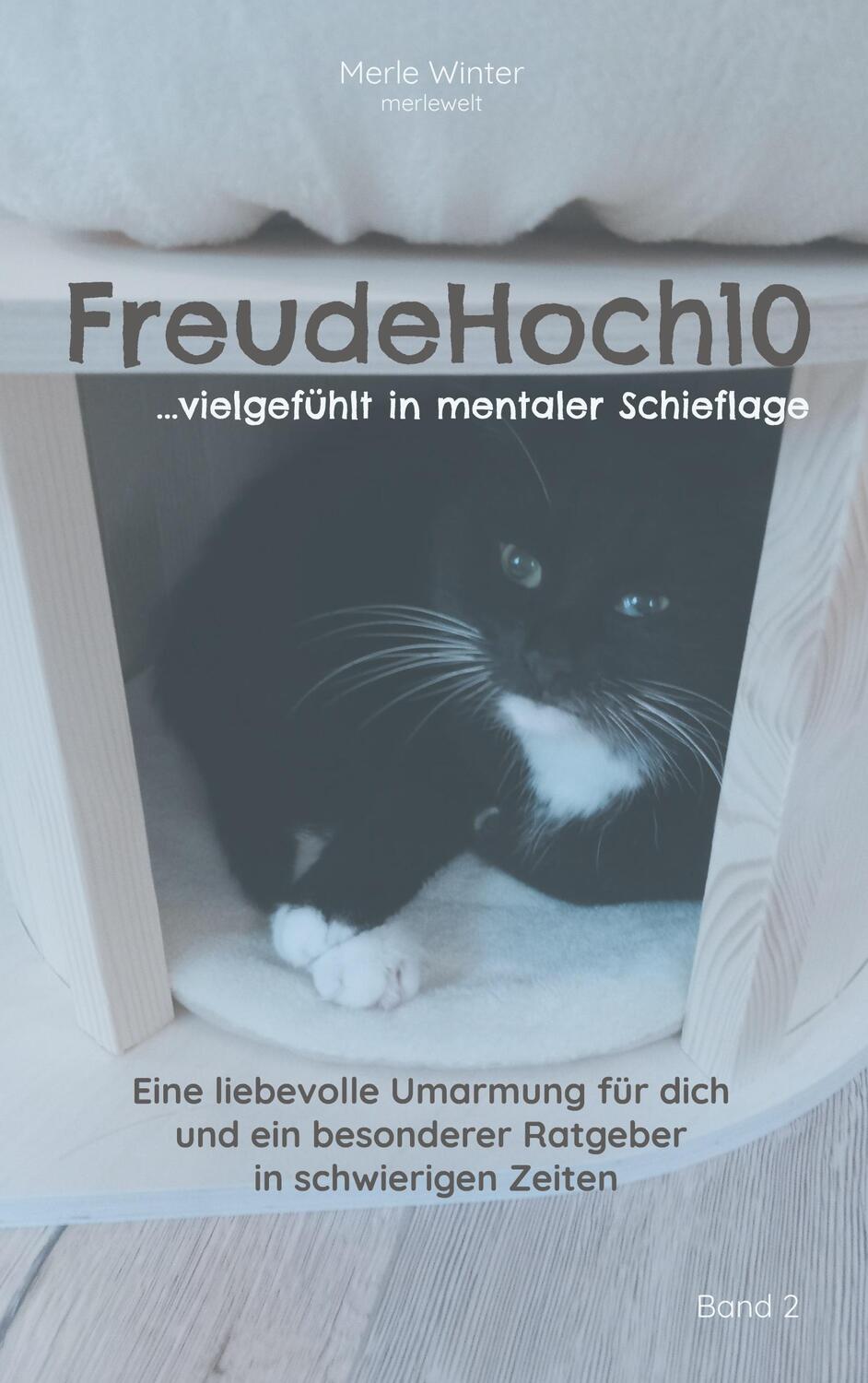 Cover: 9783758321733 | FreudeHoch10 | ...vielgefühlt in mentaler Schieflage | Merle Winter