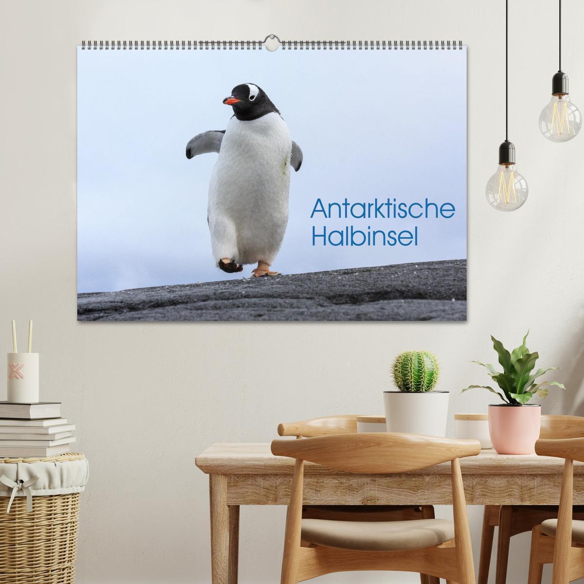 Bild: 9783383947490 | Antarktische Halbinsel (Wandkalender 2025 DIN A2 quer), CALVENDO...