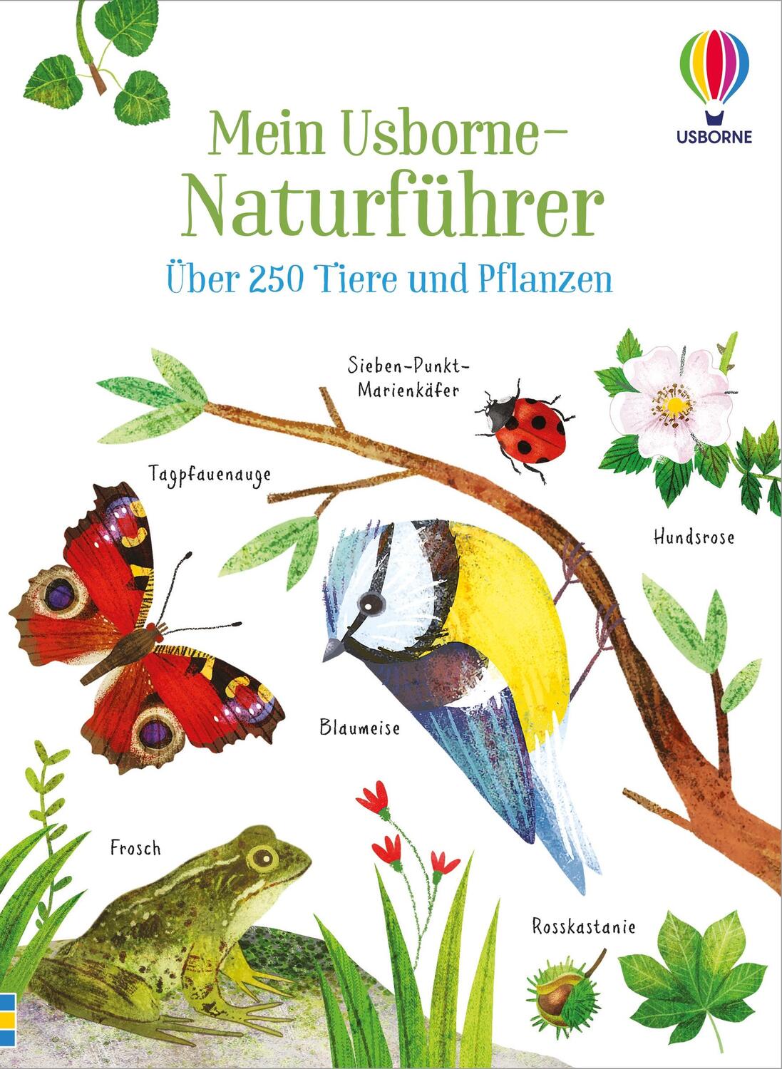 Cover: 9781035701469 | Mein Usborne-Naturführer | Taschenbuch | 96 S. | Deutsch | 2024