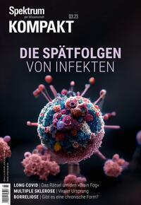 Cover: 9783958927391 | Spektrum Kompakt - Die Spätfolgen von Infekten | Wissenschaft | Buch