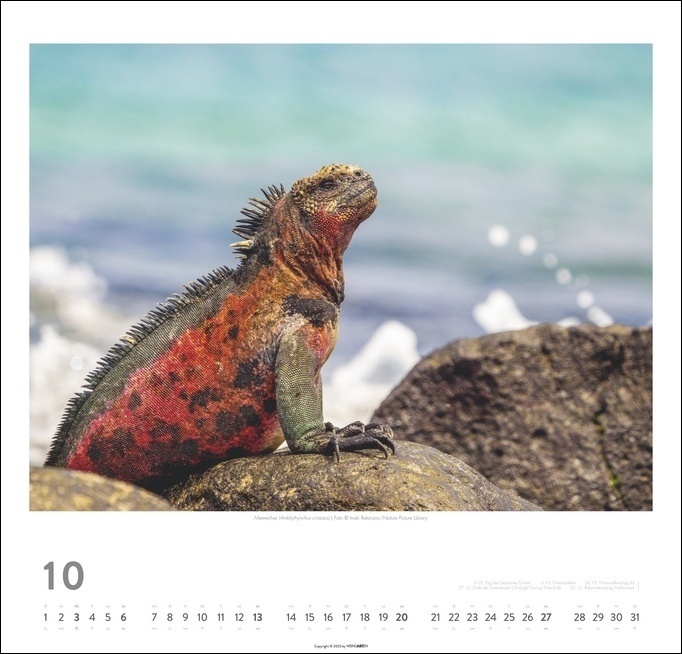 Bild: 9783840084706 | Galapagos Kalender 2024. Atemberaubende Fotos der Galapagosinseln...