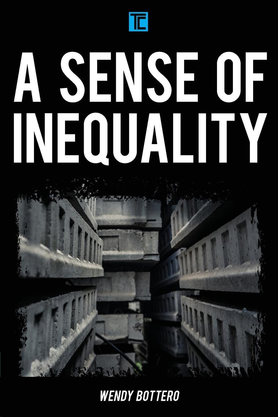 Cover: 9781783487875 | A Sense of Inequality | Wendy Bottero | Taschenbuch | Paperback | 2019