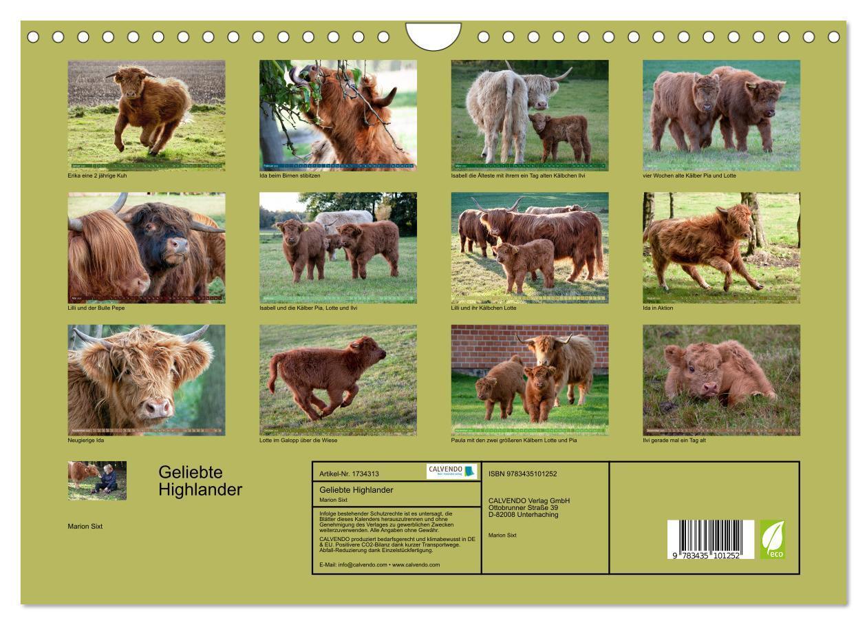 Bild: 9783435101252 | Geliebte Highlander (Wandkalender 2025 DIN A4 quer), CALVENDO...