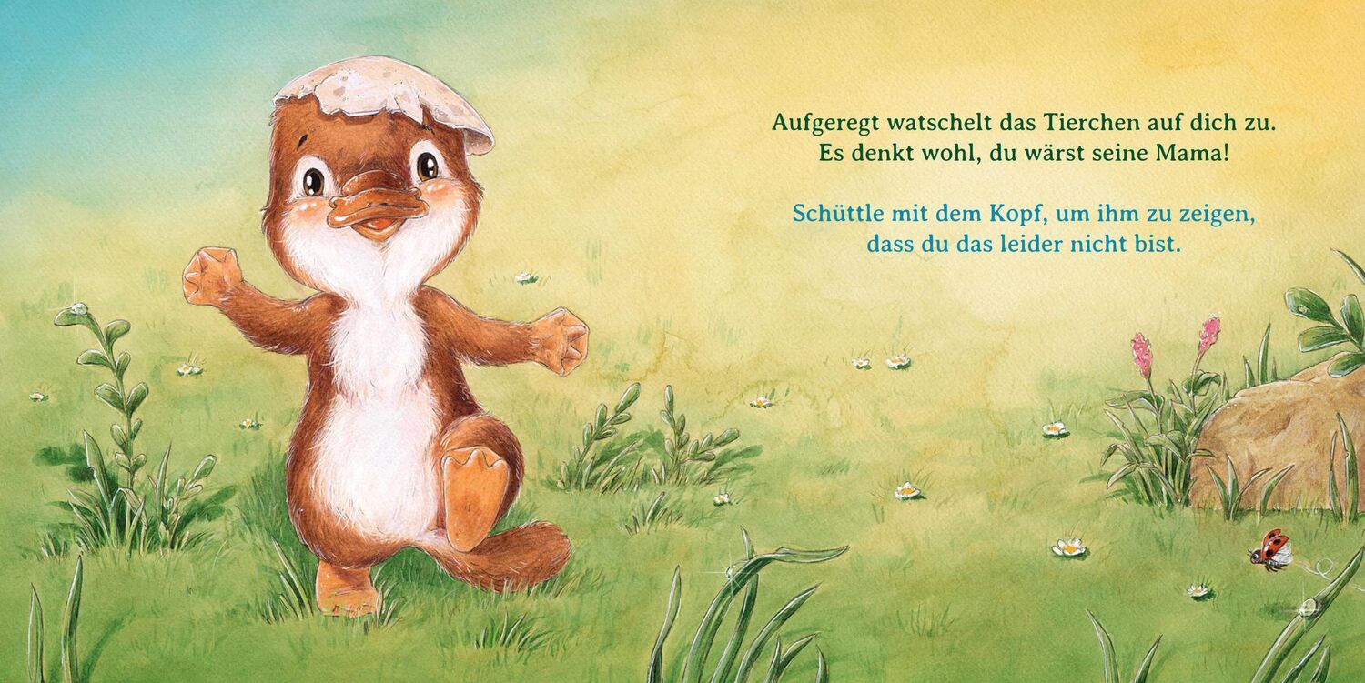 Bild: 9783414825865 | Nanu, und wer bist du? | Sophie Schoenwald | Buch | 26 S. | Deutsch