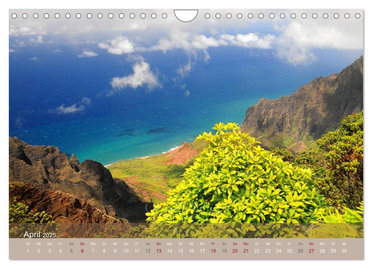 Bild: 9783435800186 | Aloha aus Hawaii (Wandkalender 2025 DIN A4 quer), CALVENDO...