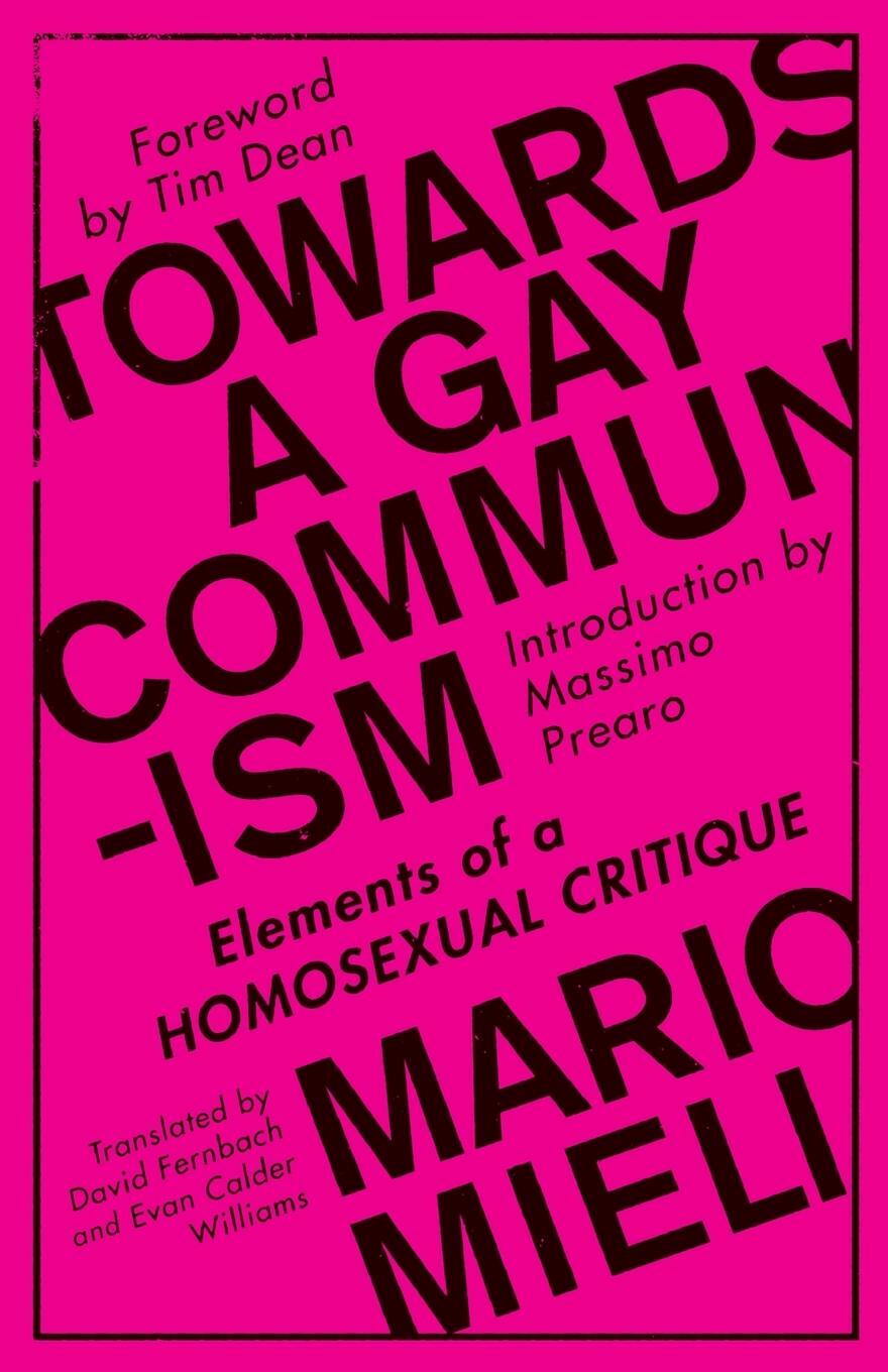 Cover: 9780745399515 | Towards a Gay Communism | Elements of a Homosexual Critique | Mieli