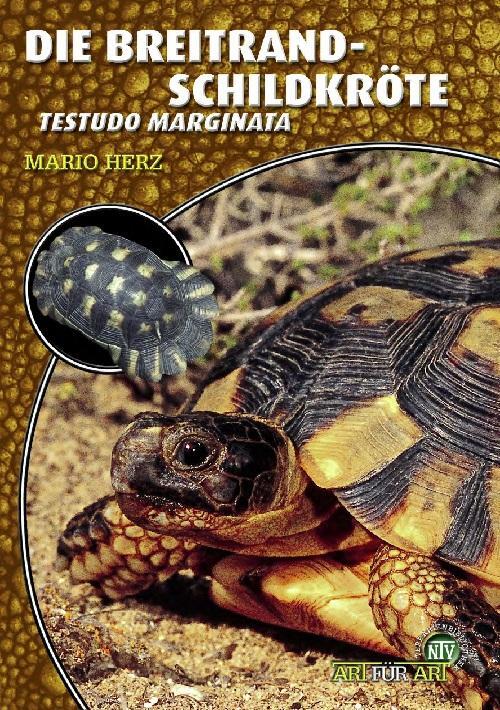 Cover: 9783937285948 | Die Breitrandschildkröte | Mario Herz | Taschenbuch | Art für Art