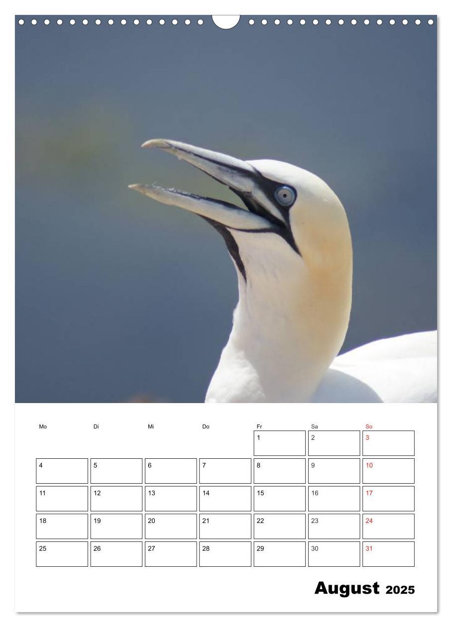 Bild: 9783457008584 | Einzigartige Insel Helgoland (Wandkalender 2025 DIN A3 hoch),...