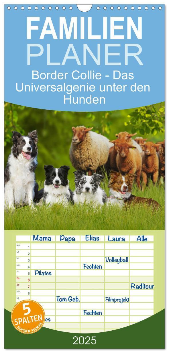 Cover: 9783457194676 | Familienplaner 2025 - Border Collie - Das Universalgenie unter den...