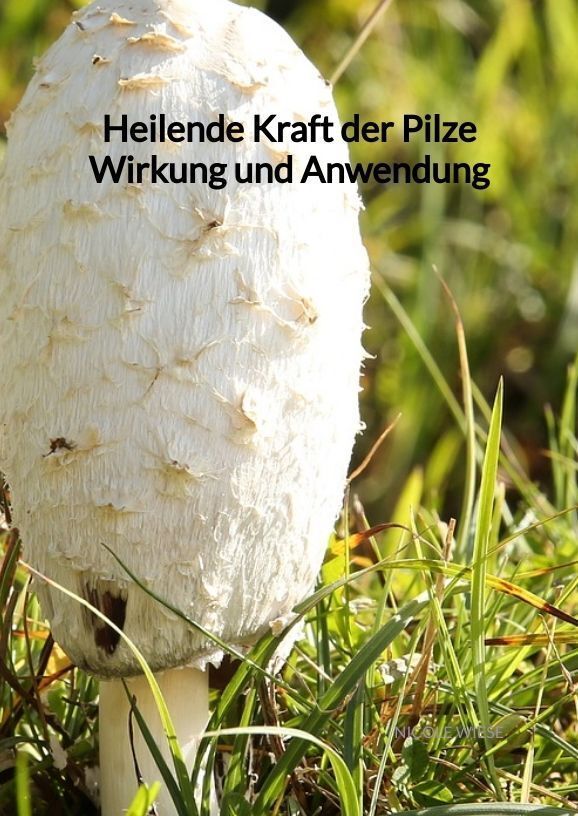 Cover: 9783347901971 | Heilende Kraft der Pilze Wirkung und Anwendung | Nicole Wiese | Buch