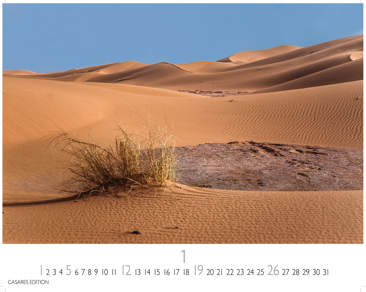 Bild: 9781835240526 | Sahara 2025 L 35x50cm | Kalender | 14 S. | Deutsch | 2025