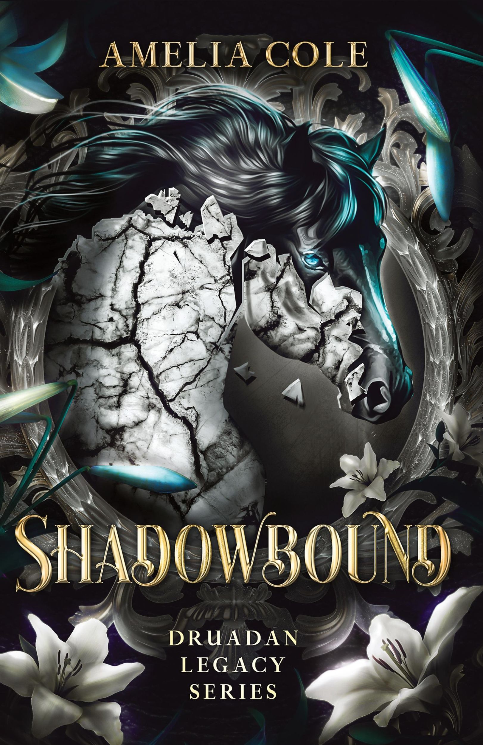 Cover: 9798988410928 | Shadowbound | Amelia Cole | Taschenbuch | Englisch | 2024