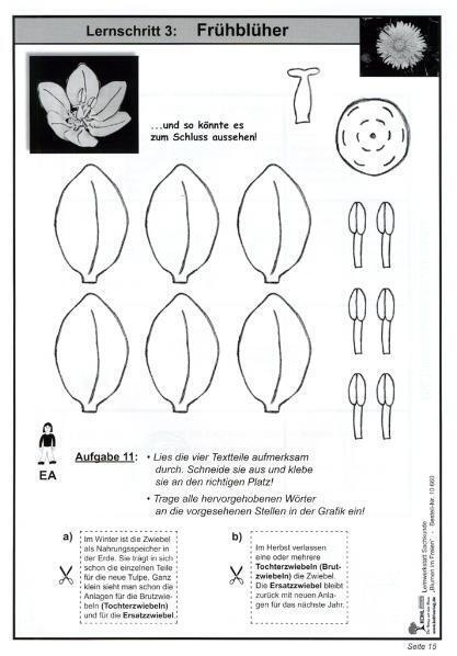 Bild: 9783866326606 | Lernwerkstatt Blumen im Freien | Moritz Quast (u. a.) | Taschenbuch