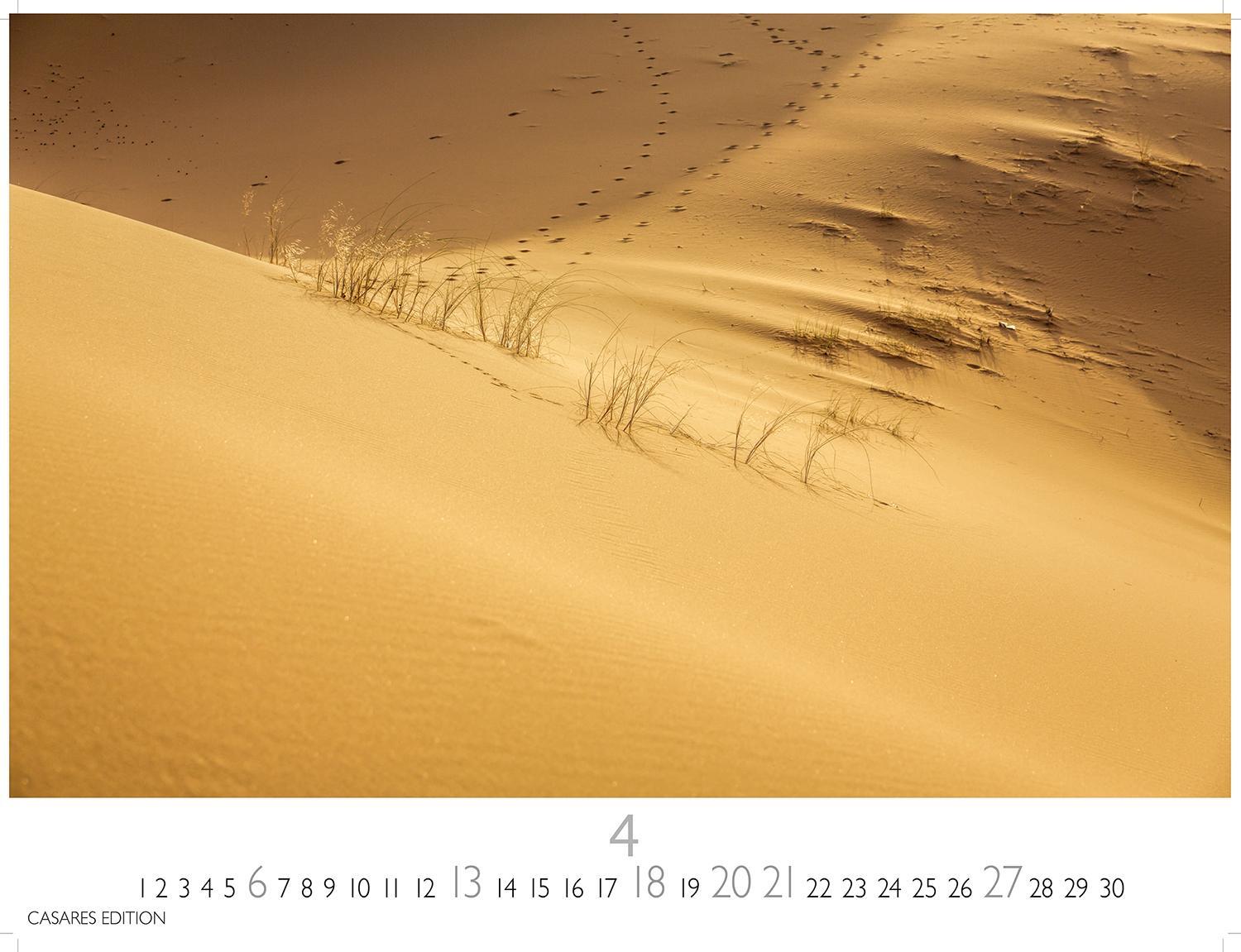 Bild: 9781835240533 | Sahara 2025 S 24x35 cm | Kalender | 14 S. | Deutsch | 2025