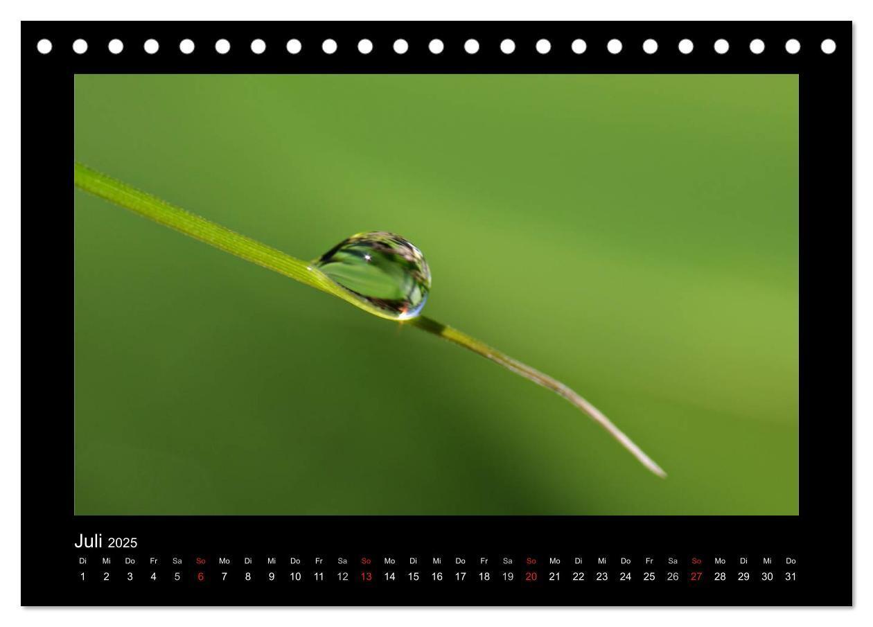 Bild: 9783435838981 | Meine kleine grüne Wassertropfen Welt (Tischkalender 2025 DIN A5...