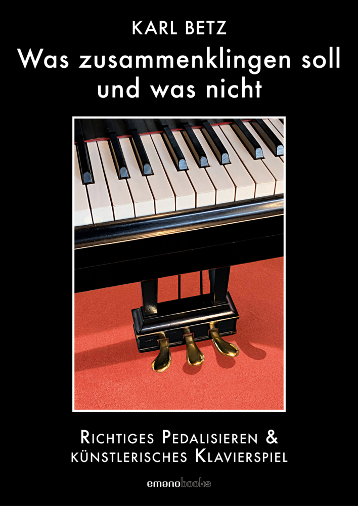 Cover: 9783038360445 | Was zusammenklingen soll und was nicht | Karl Betz | Taschenbuch