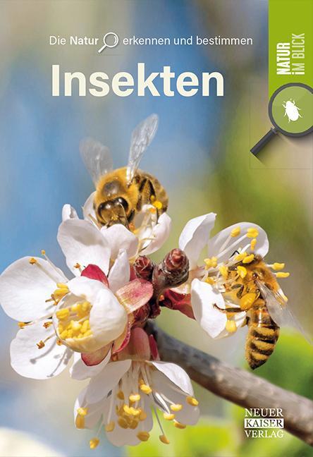 Cover: 9783846805053 | Insekten | Die Natur erkennen und bestimmen - Natur im Blick | Buch