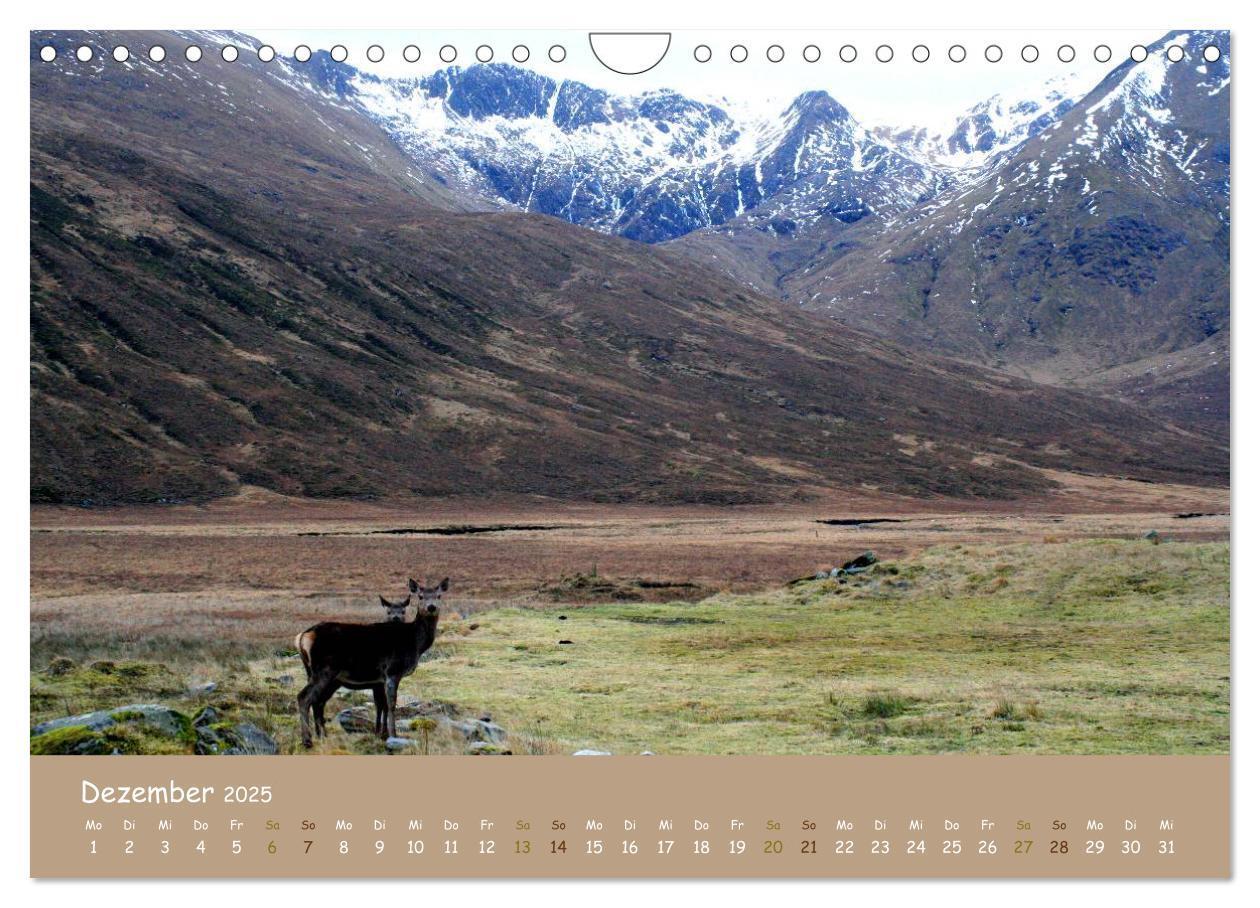 Bild: 9783435728534 | Schottische Highlands (Wandkalender 2025 DIN A4 quer), CALVENDO...