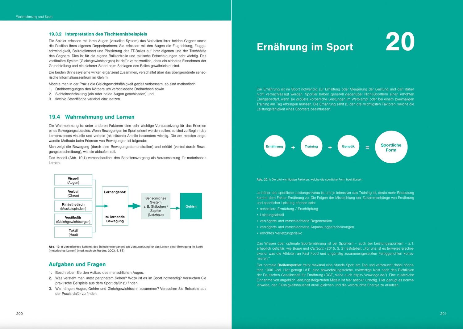 Bild: 9783964161017 | Fit im Schulsport | Optimales Sportwissen für das Sportprofil | Buch