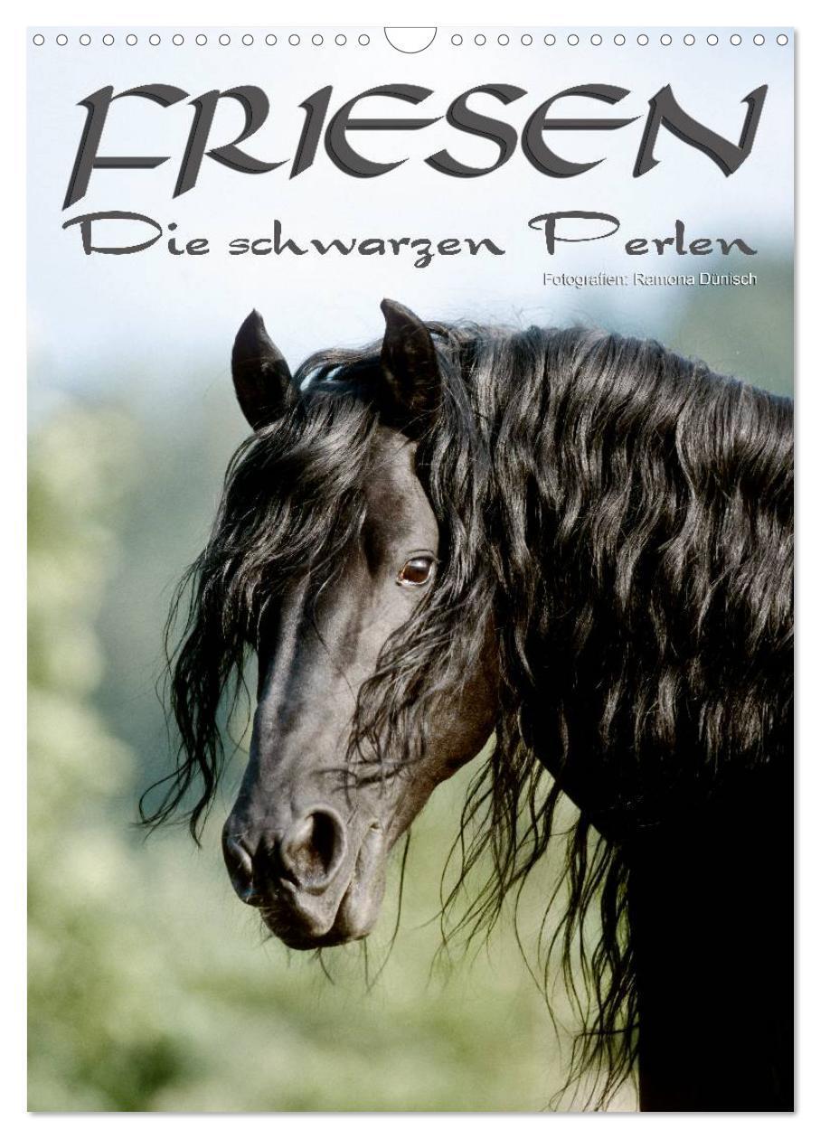 Cover: 9783457066515 | Friesen - die schwarzen Perlen (Wandkalender 2025 DIN A3 hoch),...