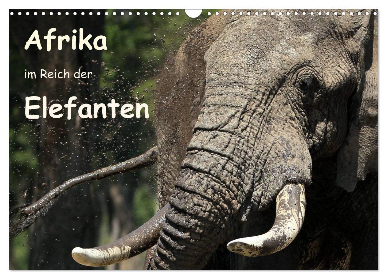 Cover: 9783383263255 | Afrika - im Reich der Elefanten (Wandkalender 2024 DIN A3 quer),...