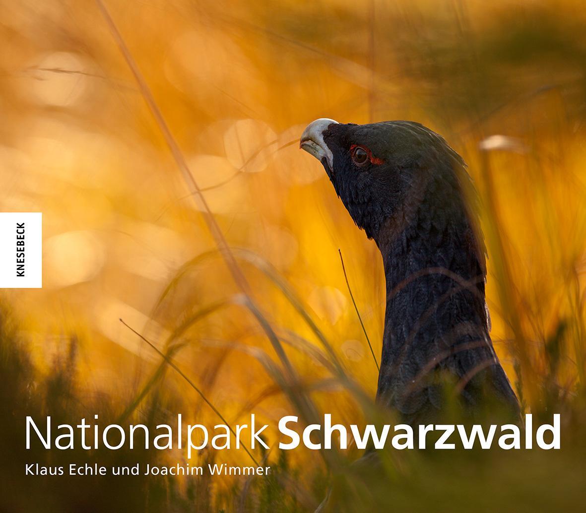 Cover: 9783868739350 | Nationalpark Schwarzwald | Klaus Echle (u. a.) | Buch | Deutsch | 2016
