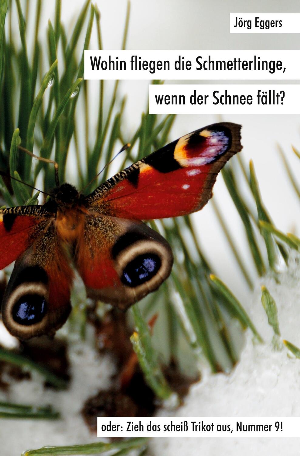 Cover: 9783985276738 | Wohin fliegen die Schmetterlinge, wenn der Schnee fällt? | Jörg Eggers