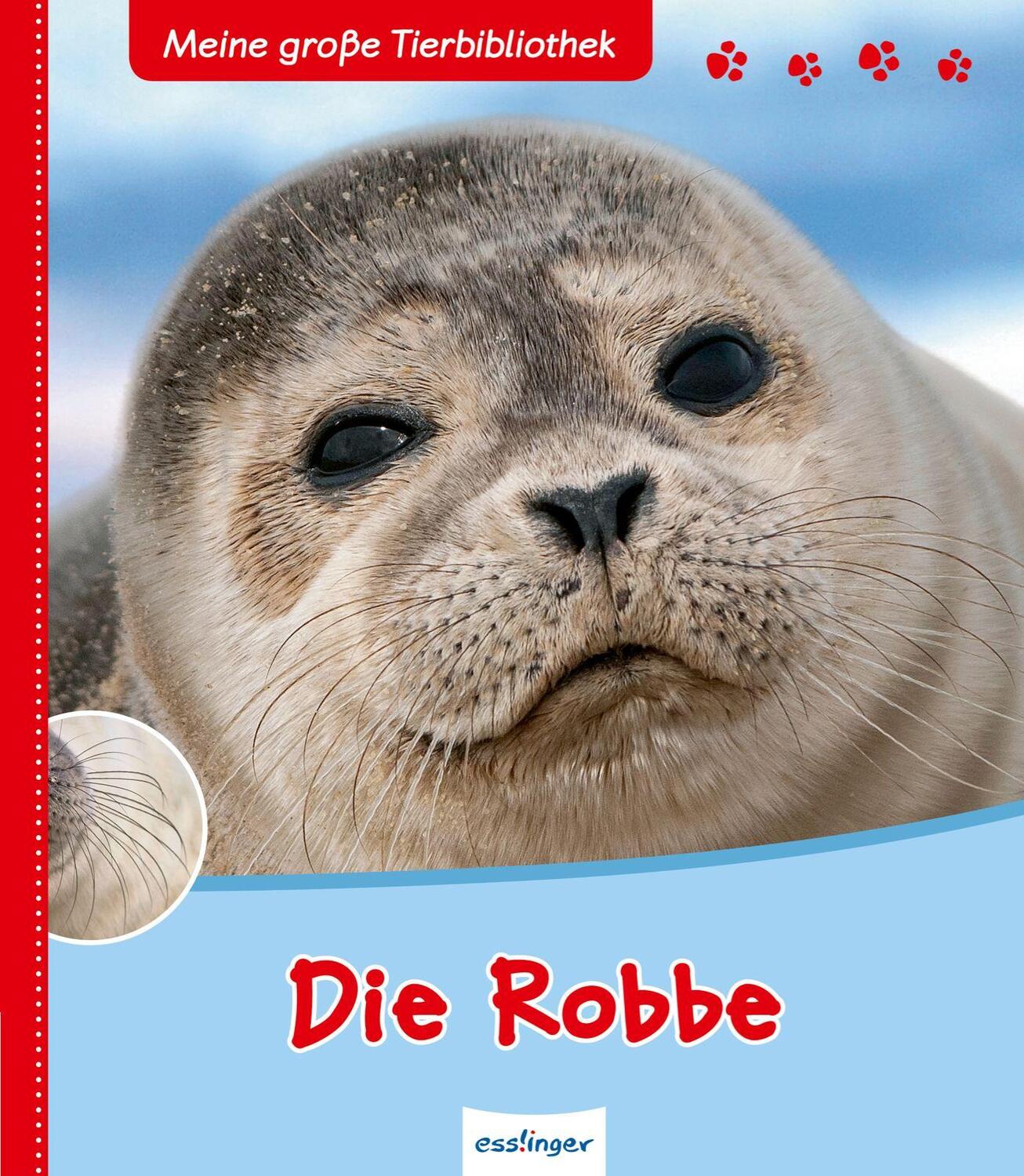 Cover: 9783480224203 | Die Robbe | Meine große Tier-Bibliothek | Valérie Tracqui | Buch