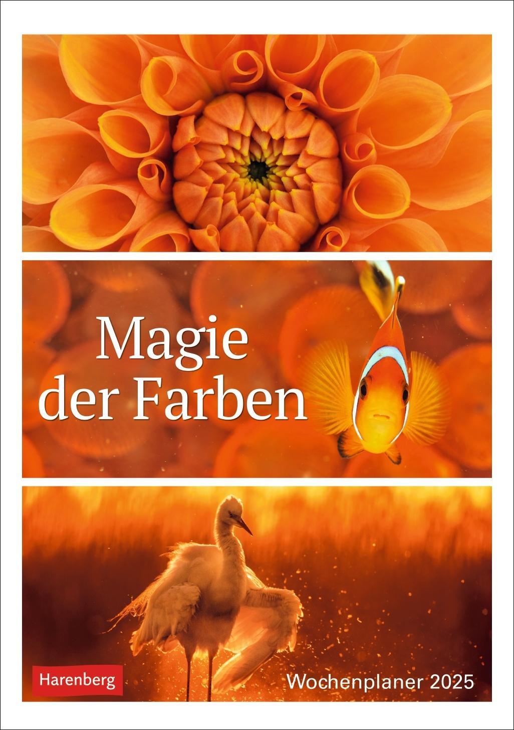 Cover: 9783840034312 | Magie der Farben Wochenplaner 2025 | Harenberg | Kalender | 54 S.