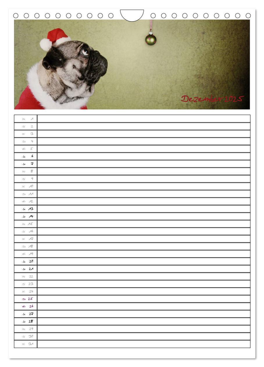 Bild: 9783457067796 | Der mopsige Familienplaner (Wandkalender 2025 DIN A4 hoch),...