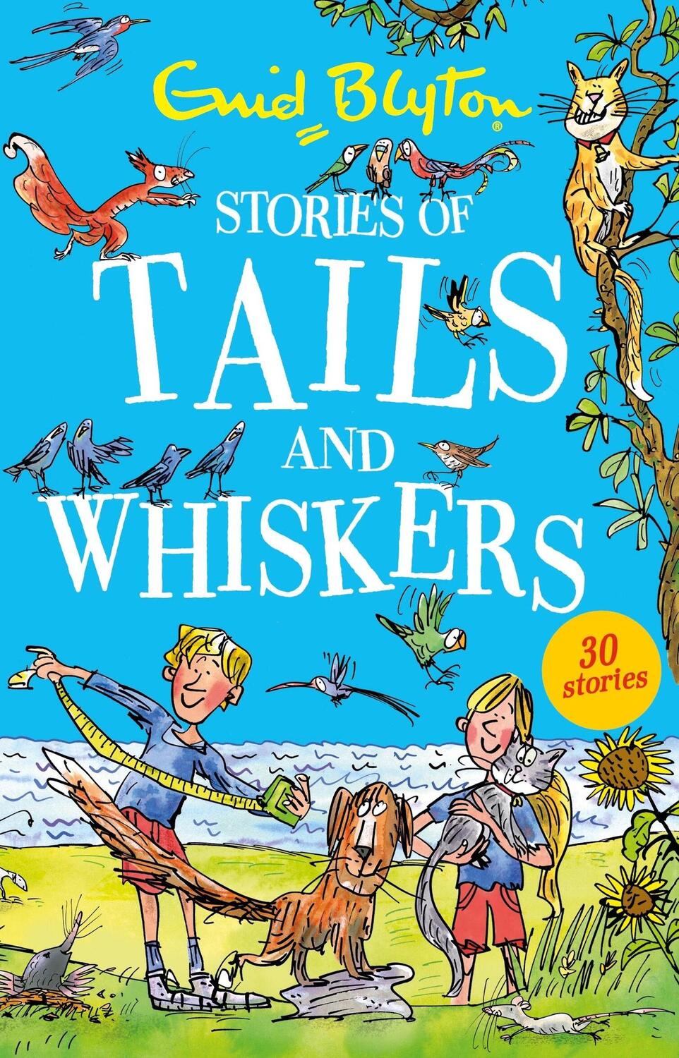 Cover: 9781444969245 | Stories of Tails and Whiskers | Enid Blyton | Taschenbuch | Englisch