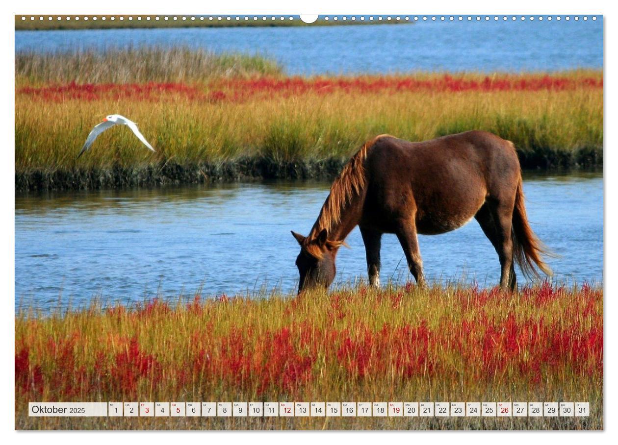 Bild: 9783383935220 | Masuren - Polens Seen-Paradies (Wandkalender 2025 DIN A2 quer),...