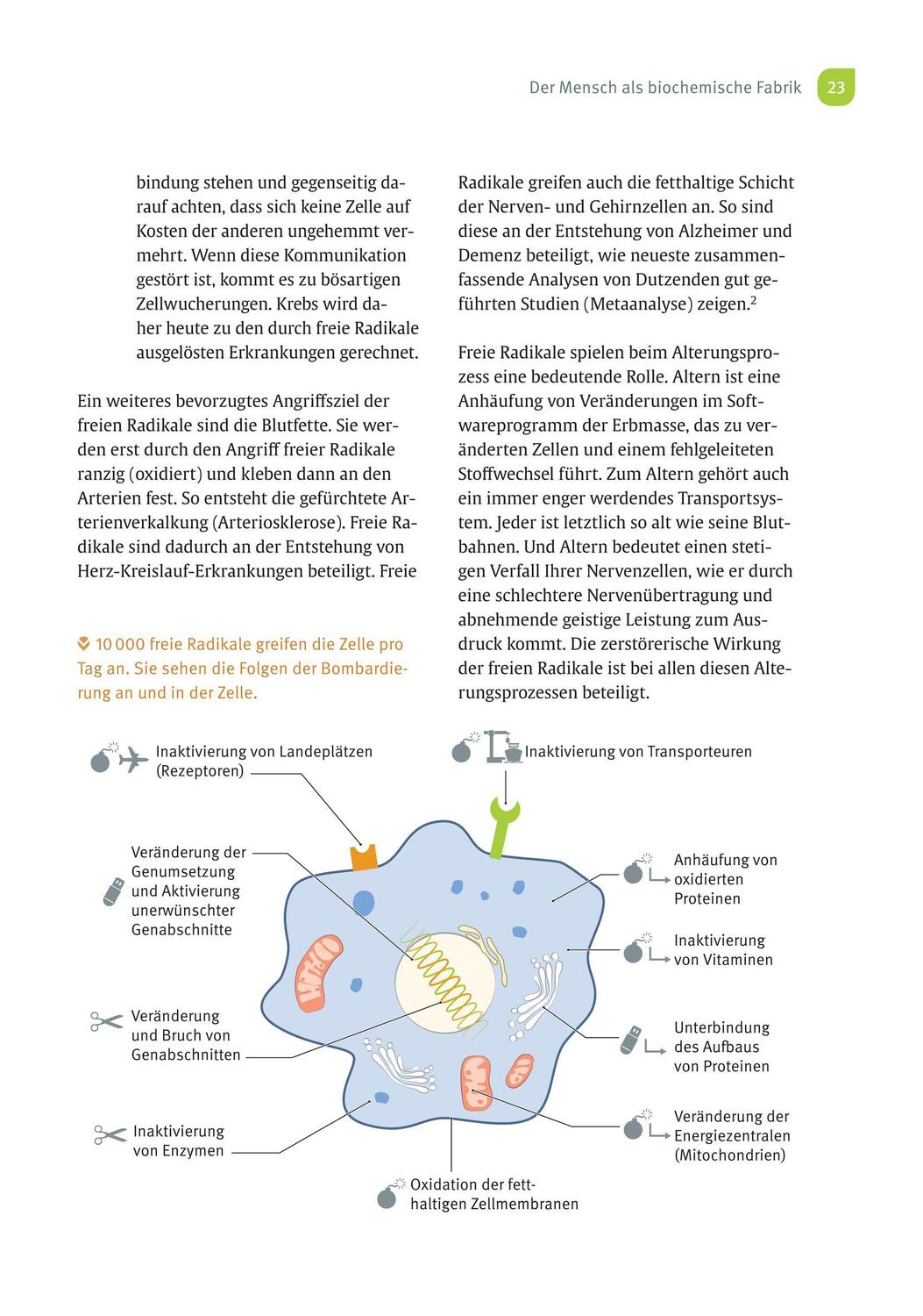 Bild: 9783432116006 | Risikofaktor Vitaminmangel | Andreas Jopp | Taschenbuch | 184 S.