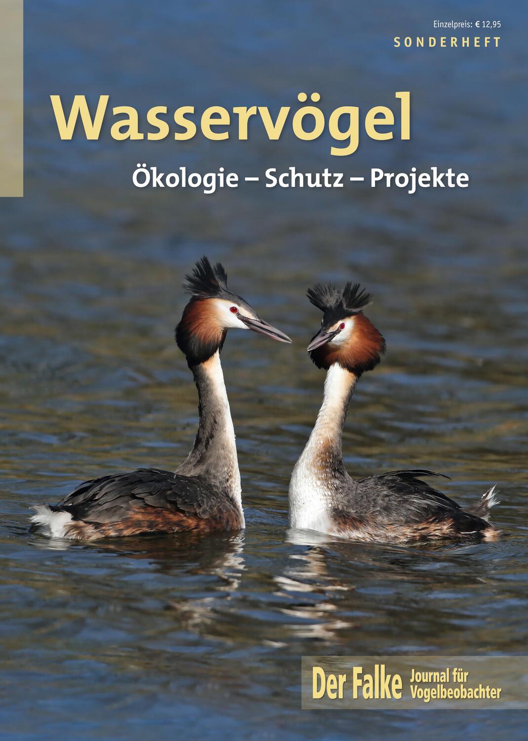 Cover: 9783891048221 | Wasservögel | Ökologie - Schutz - Projekte | Redaktion Der Falke