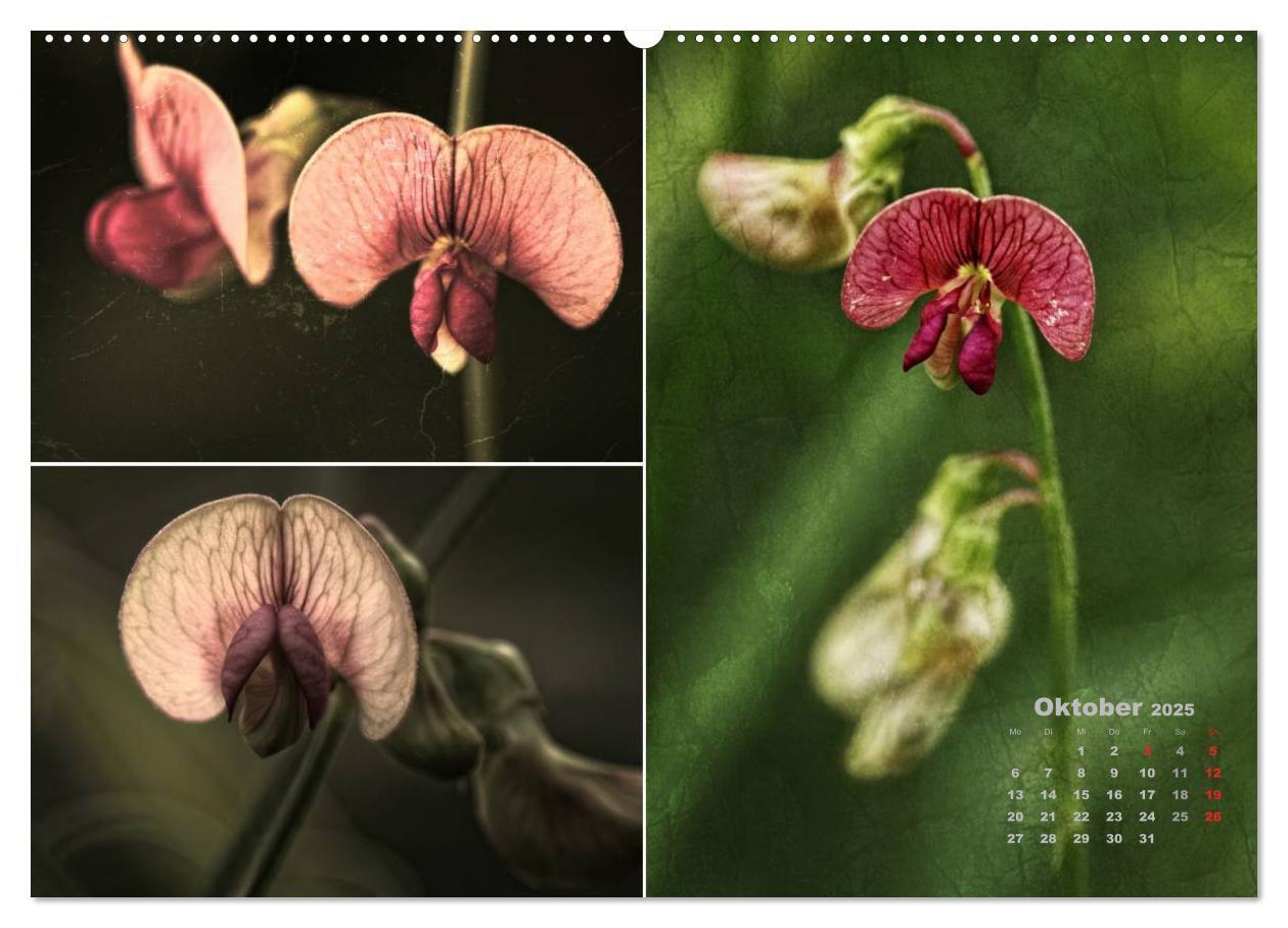 Bild: 9783435602469 | Blumenreise 2025 (hochwertiger Premium Wandkalender 2025 DIN A2...