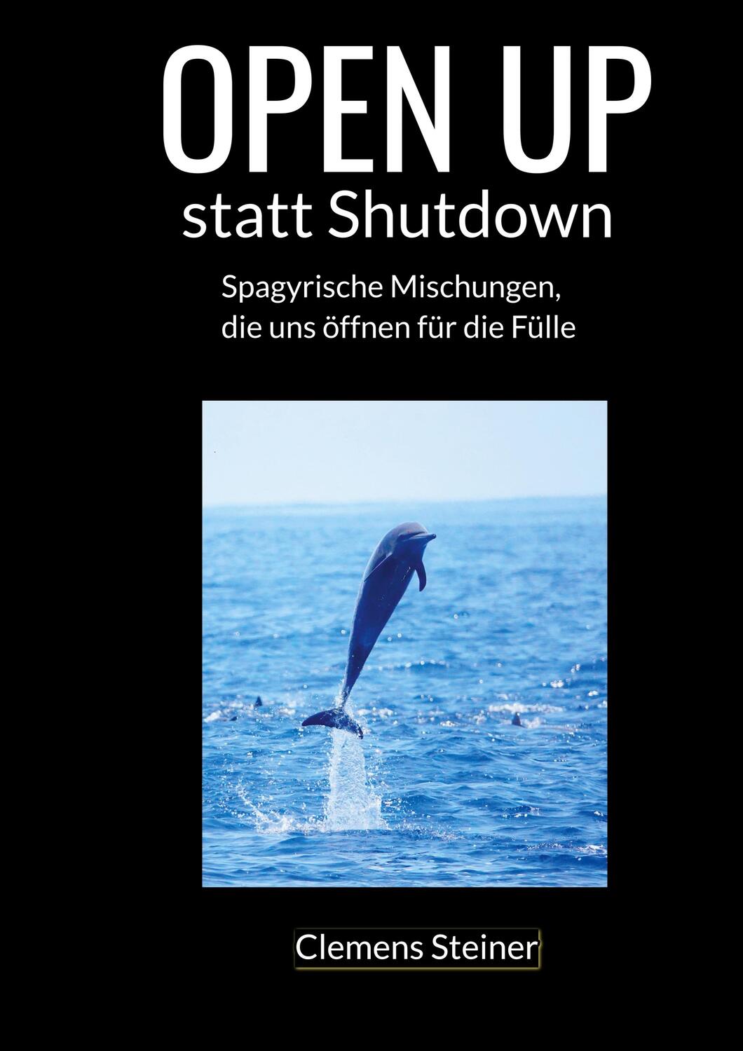 Cover: 9783751937146 | OPEN UP statt Shutdown | Clemens Steiner | Taschenbuch