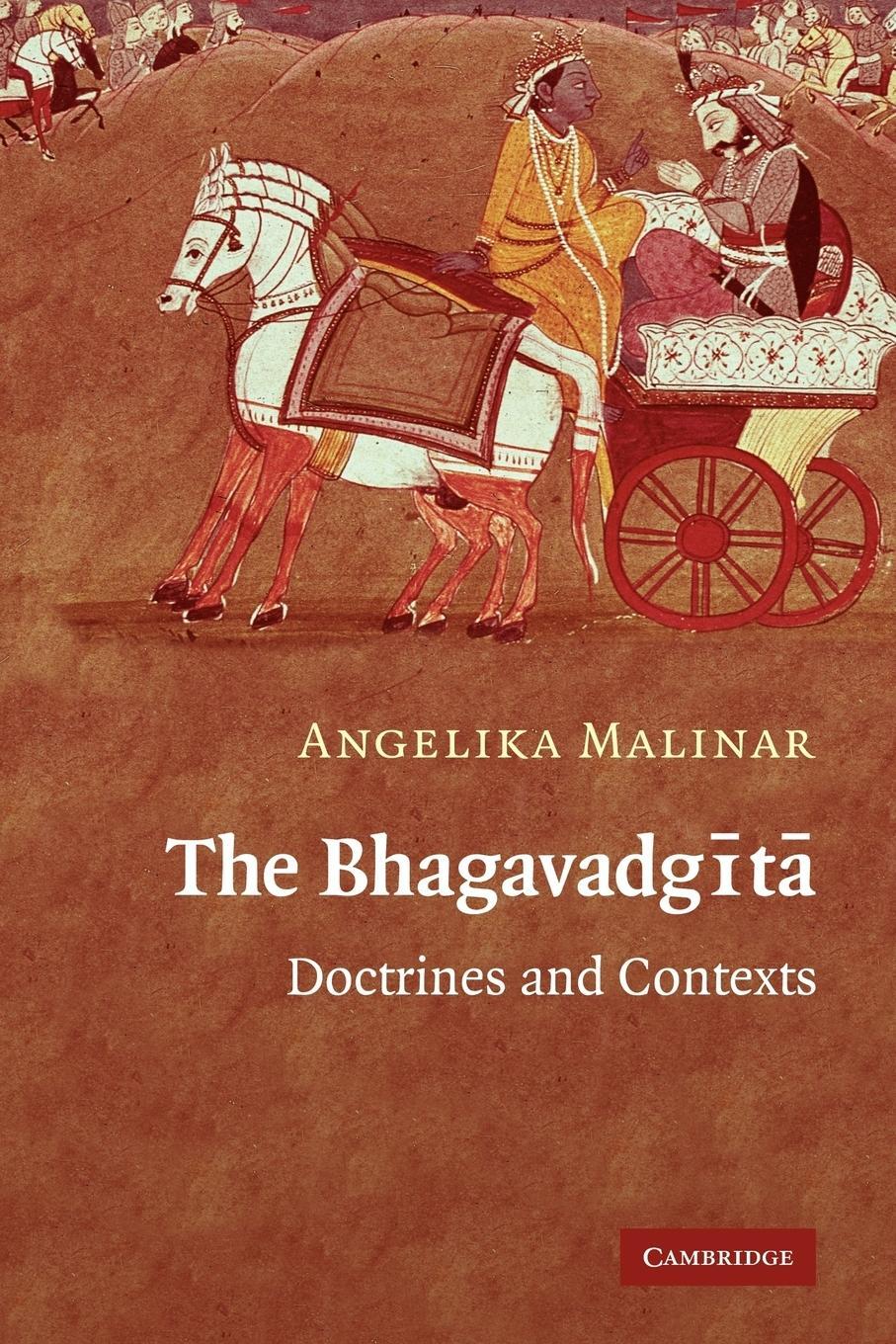 Cover: 9780521122115 | The Bhagavadgita | Doctrines and Contexts | Angelika Malinar | Buch