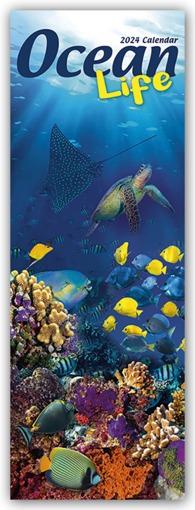 Cover: 9781804602416 | Ocean Life - Lebendige Unterwasserwelt 2024 | Avonside Publishing Ltd