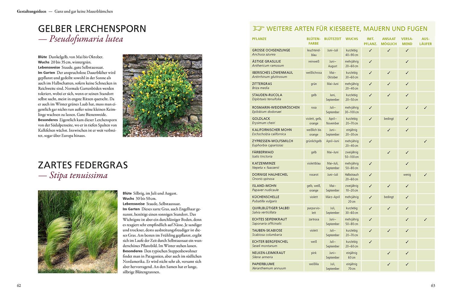 Bild: 9783440173770 | Der antiautoritäre Garten | Simone Kern | Taschenbuch | 128 S. | 2023