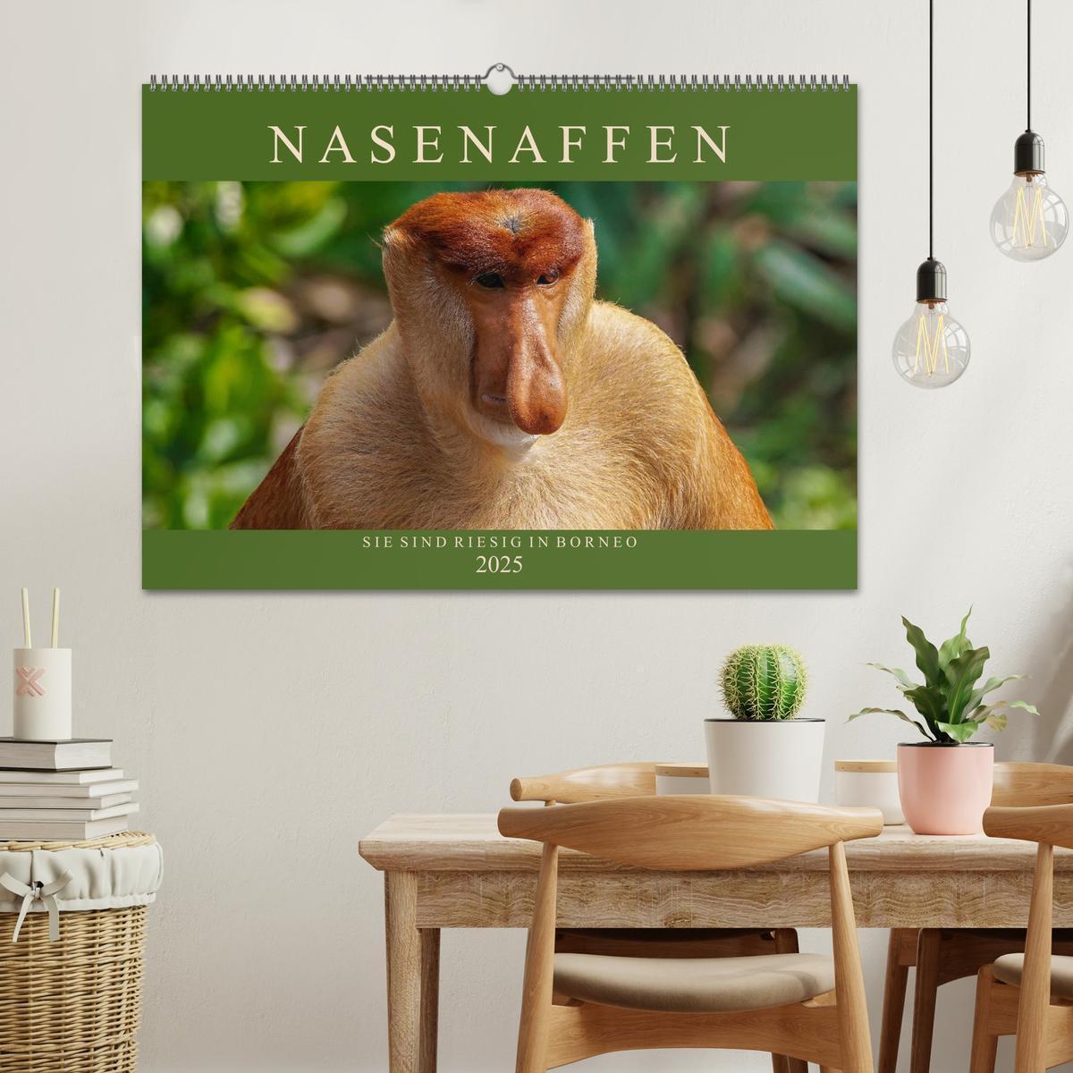 Bild: 9783435218493 | Nasenaffen von Borneo (Wandkalender 2025 DIN A2 quer), CALVENDO...