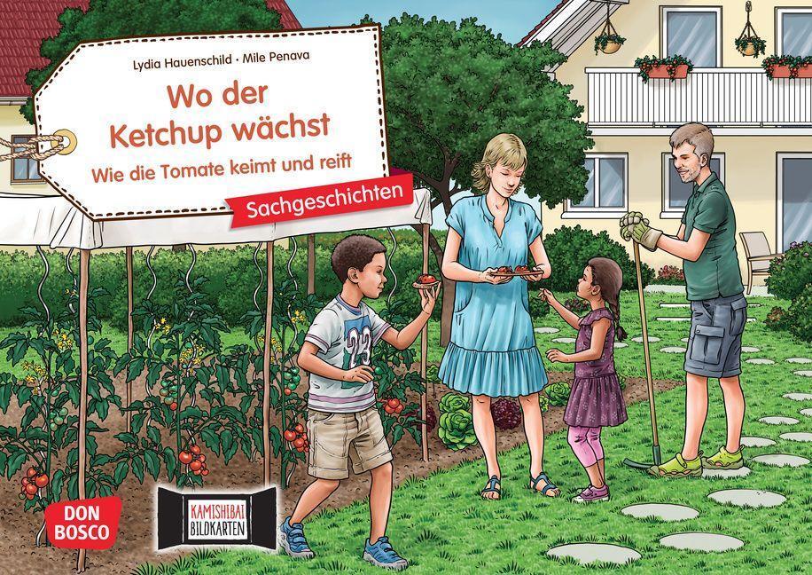 Cover: 4260694920275 | Wo der Ketchup wächst. Wie die Tomate keimt und reift. Kamishibai...